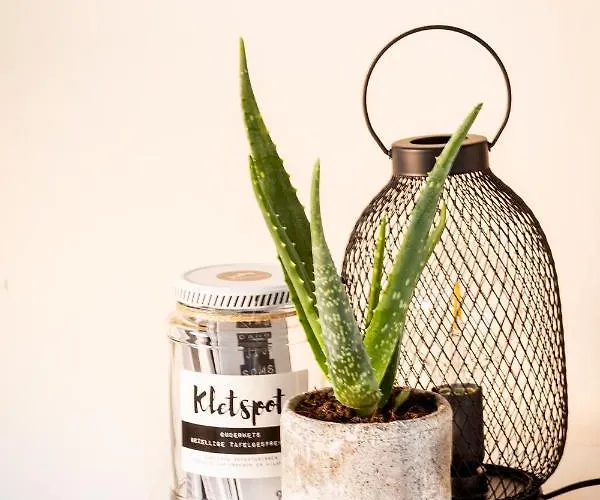 Апартаменты Puuur *