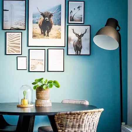 Puuur * זנדוורט